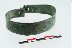 Foto von Bronzebandarmreif (NHMW-PRAE-024584)
